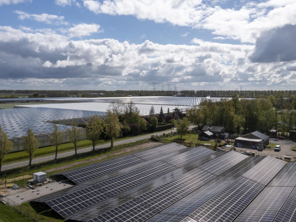 20240418_Amatrex_DJI_0434-crop