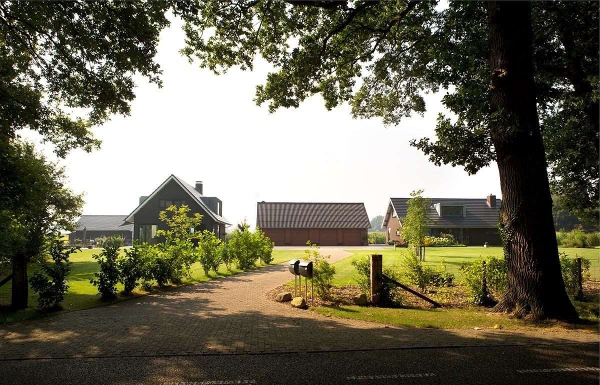 02-Stegeman-fotomarianneberkhoff