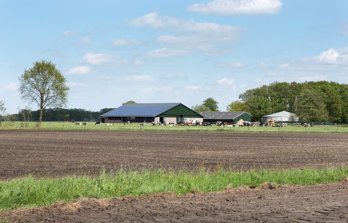 10-faNagelhoud-fotomarianneberkhoff__Kopie_