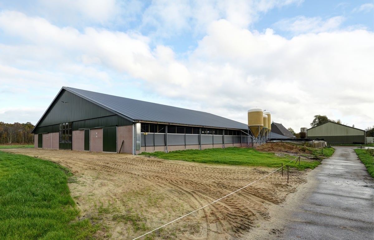 1160500006_2021-11-05_007 lp