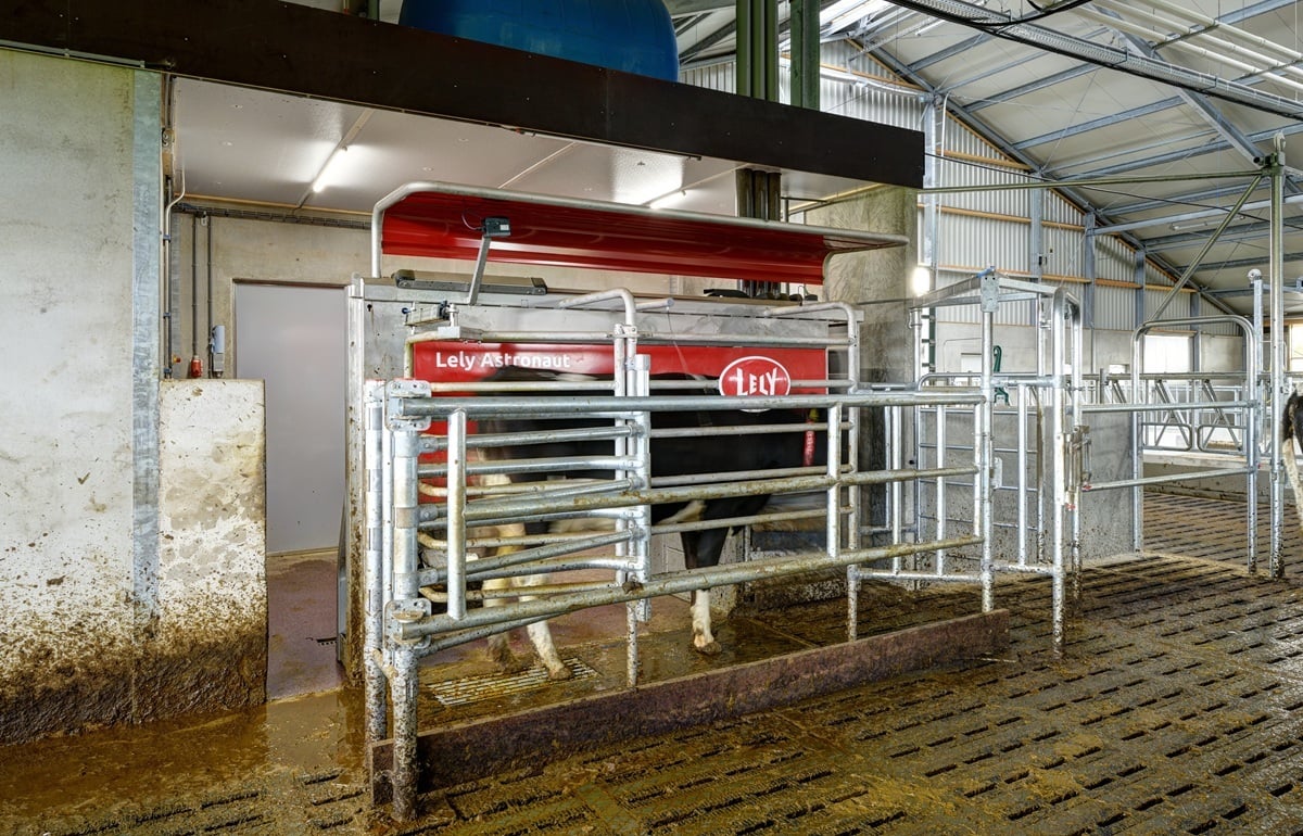 1160500006_2021-11-05_010 lp