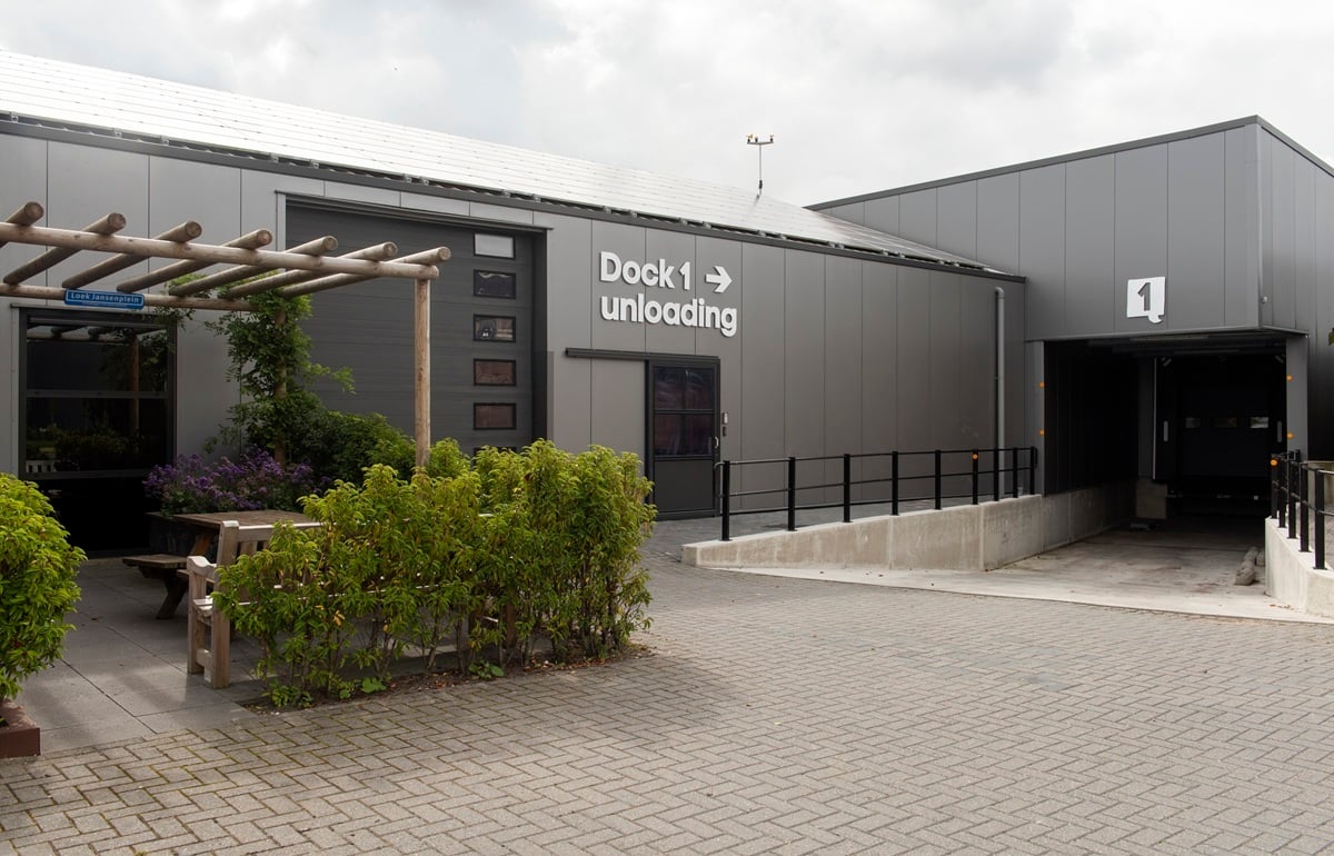 20210913 Plantanious_8114