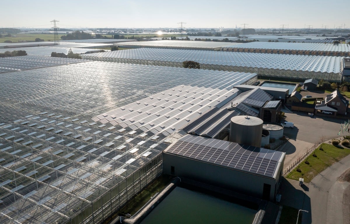 20211024 Plantanious drone_0705