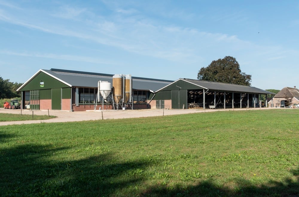 20220825 Klein Reeve_DSC5392 (1)