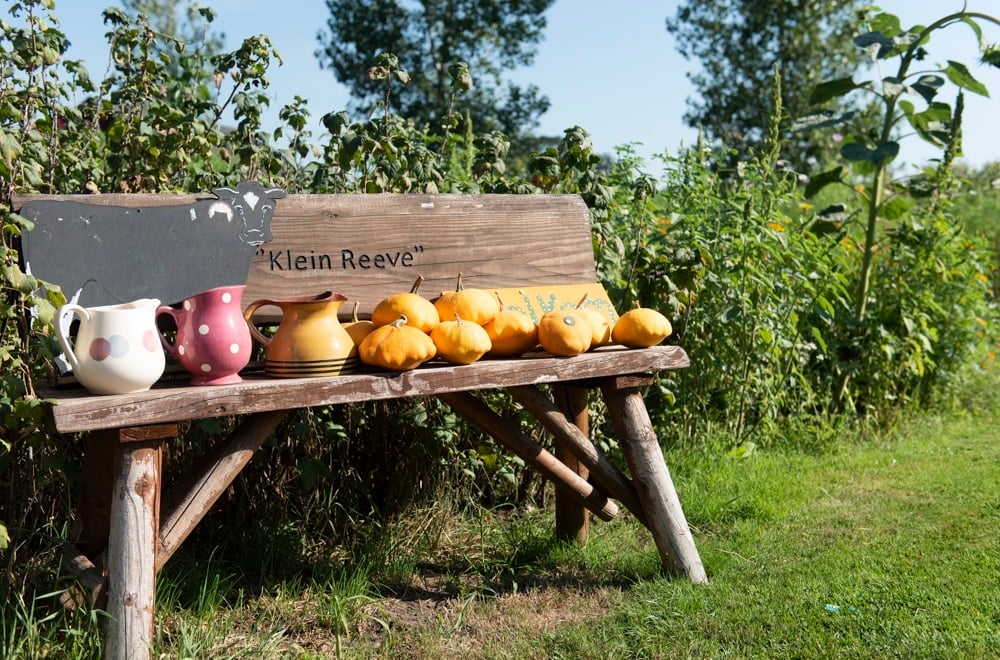 20220825 Klein Reeve_DSC5412