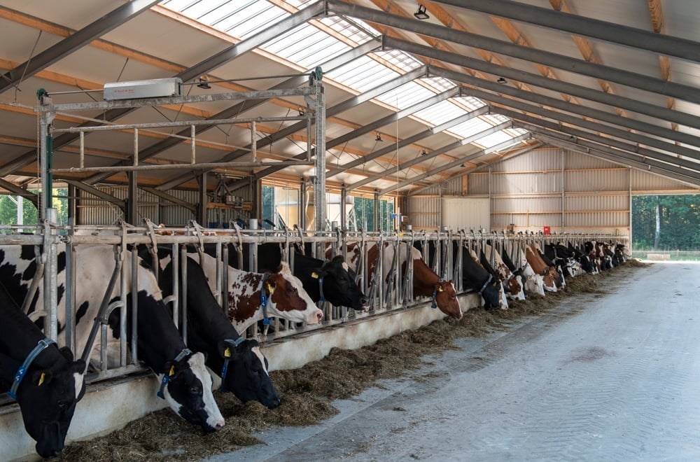 20220825 Klein Reeve_DSC5445