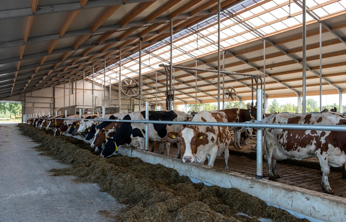 20220901 v Ginkel_5801