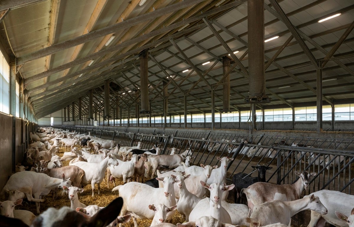 20240624 Evert Jansen_1717