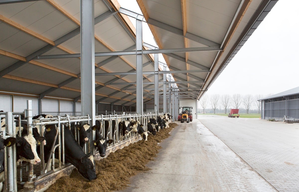 49-Beker-fotomarianneberkhoff (1)