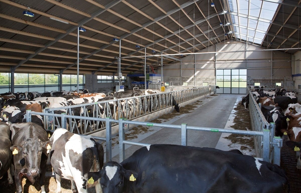 62-faNagelhoud-fotomarianneberkhoff__Kopie_