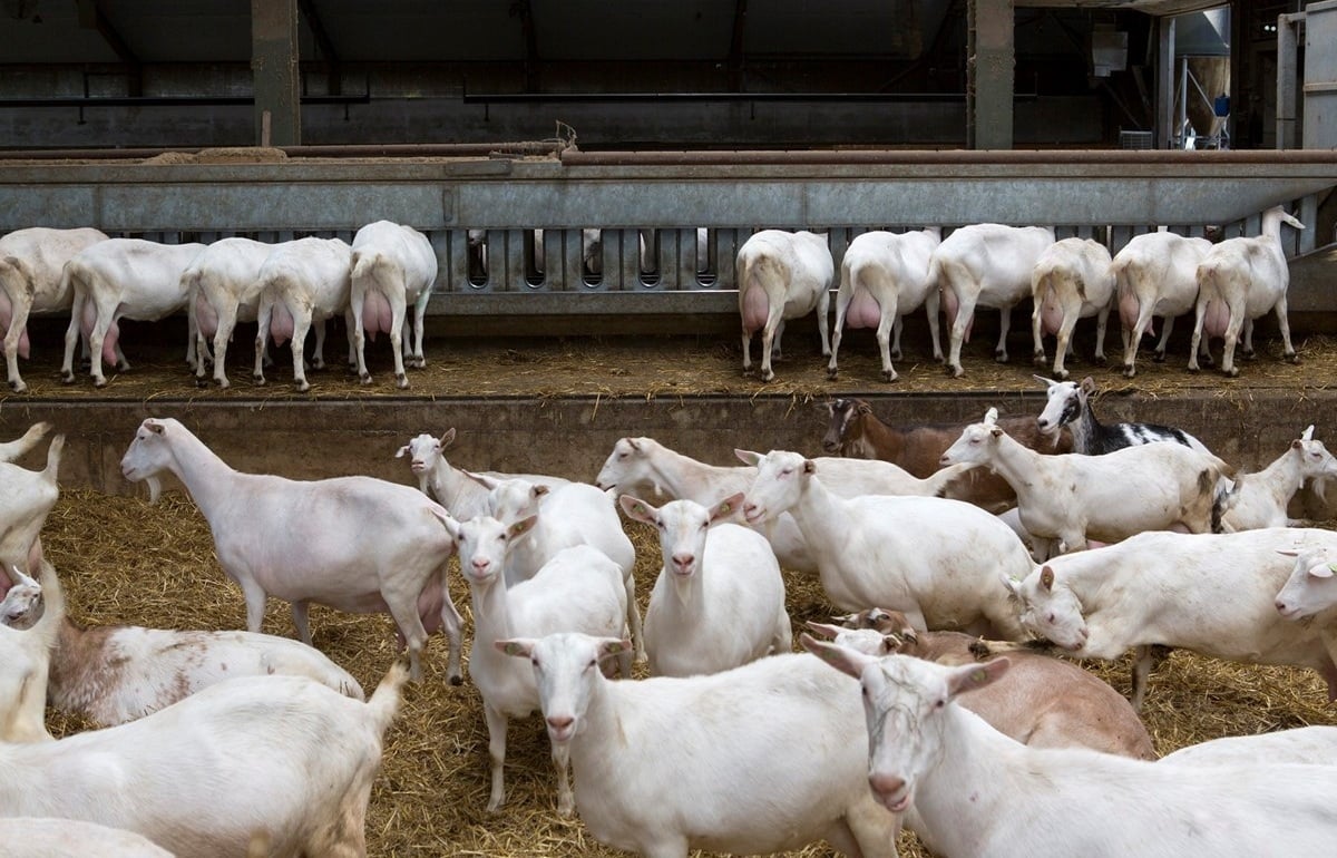 69-fadeGroot-fotoMarianneBerkhoff__Kopie_