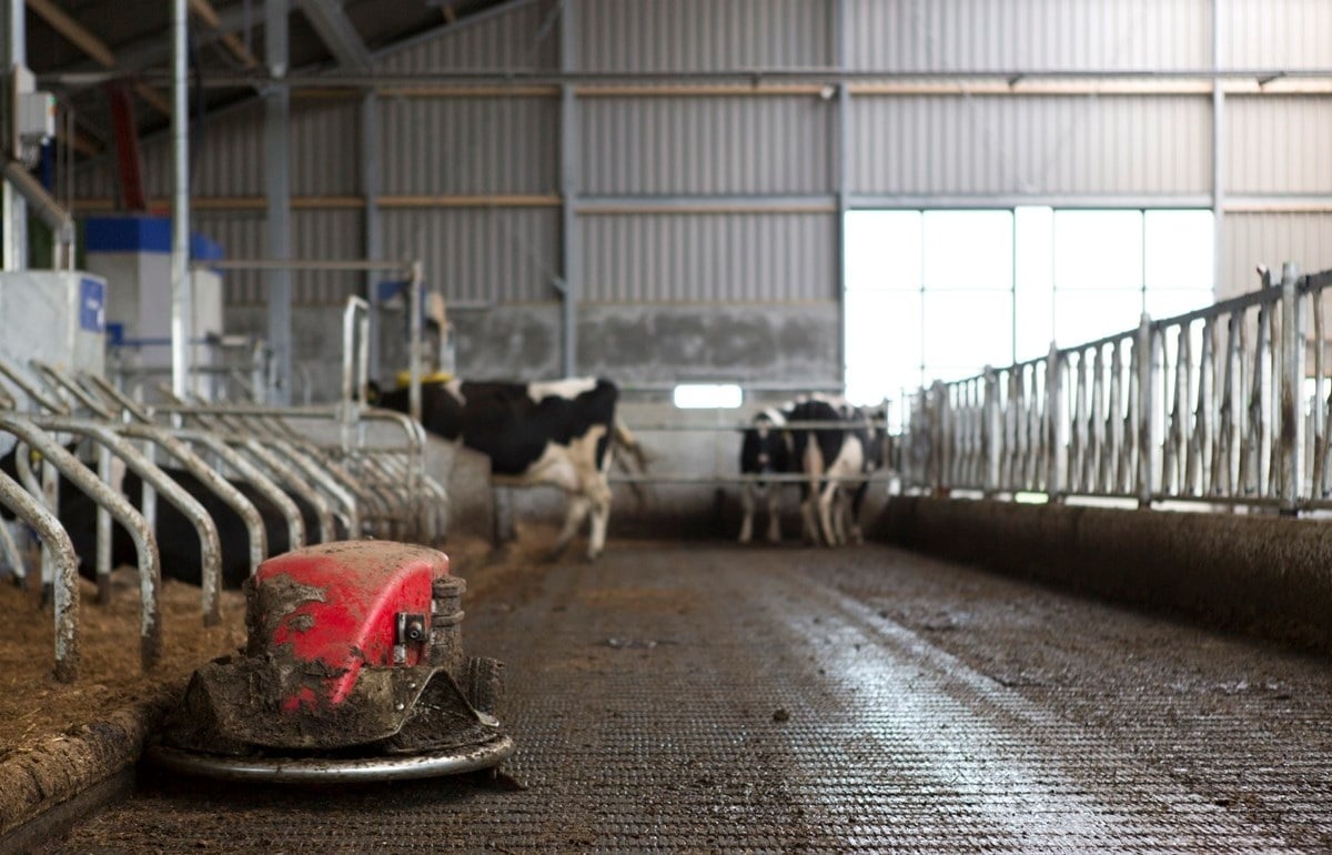 78-faNagelhoud-fotomarianneberkhoff__Kopie_