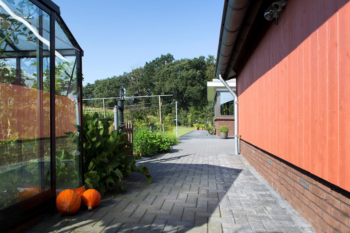 36-Stegeman-fotomarianneberkhoff