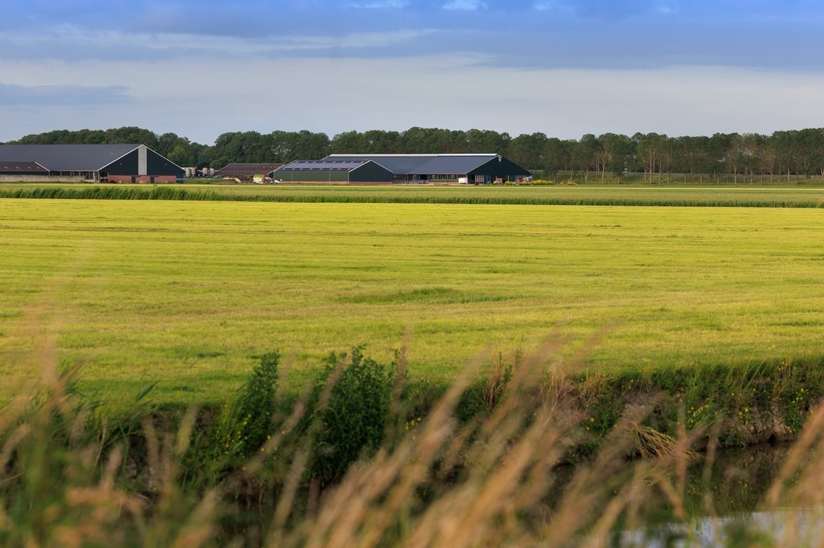 MELKVEEHOUDERIJ HELDER 017