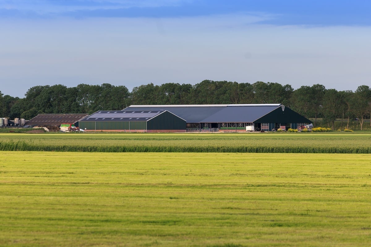 MELKVEEHOUDERIJ HELDER 018