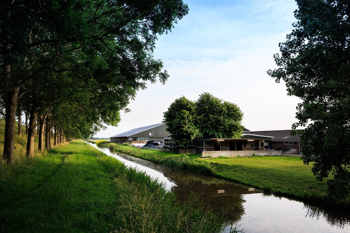MELKVEEHOUDERIJ HELDER 022