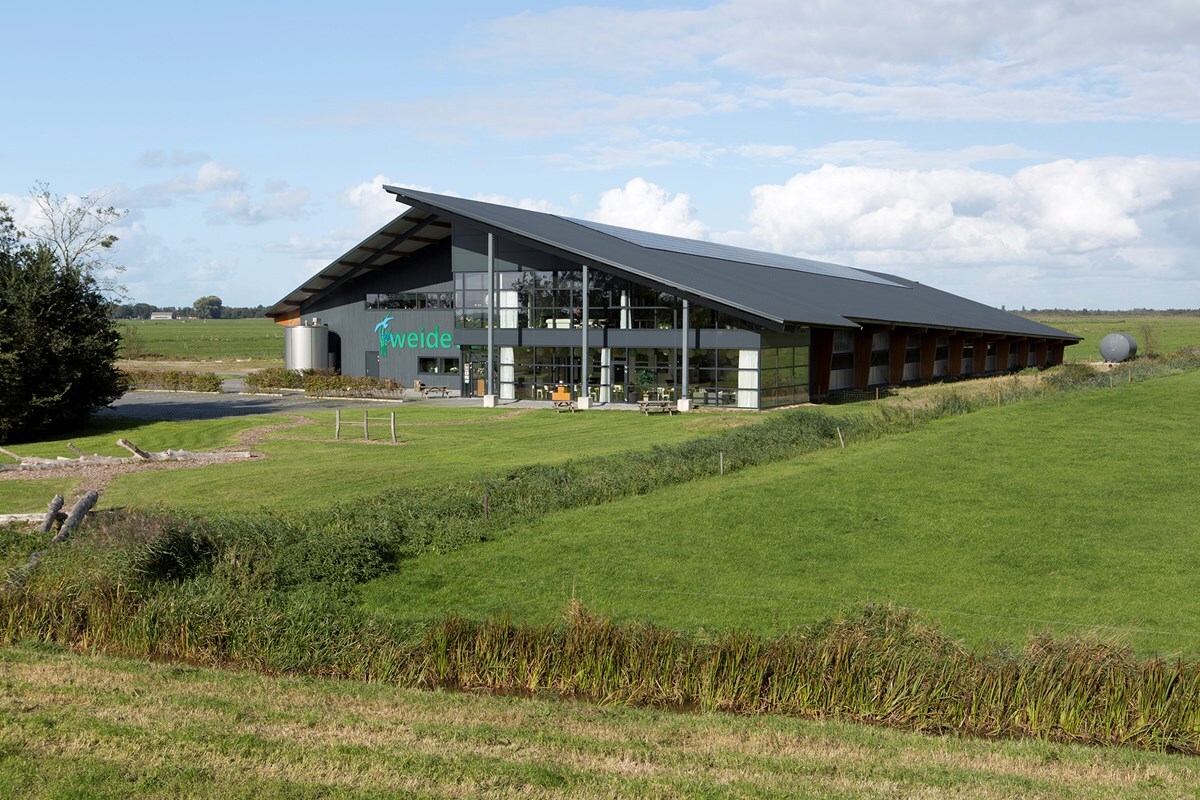 06-Weidevol-fotomarianneberkhoff