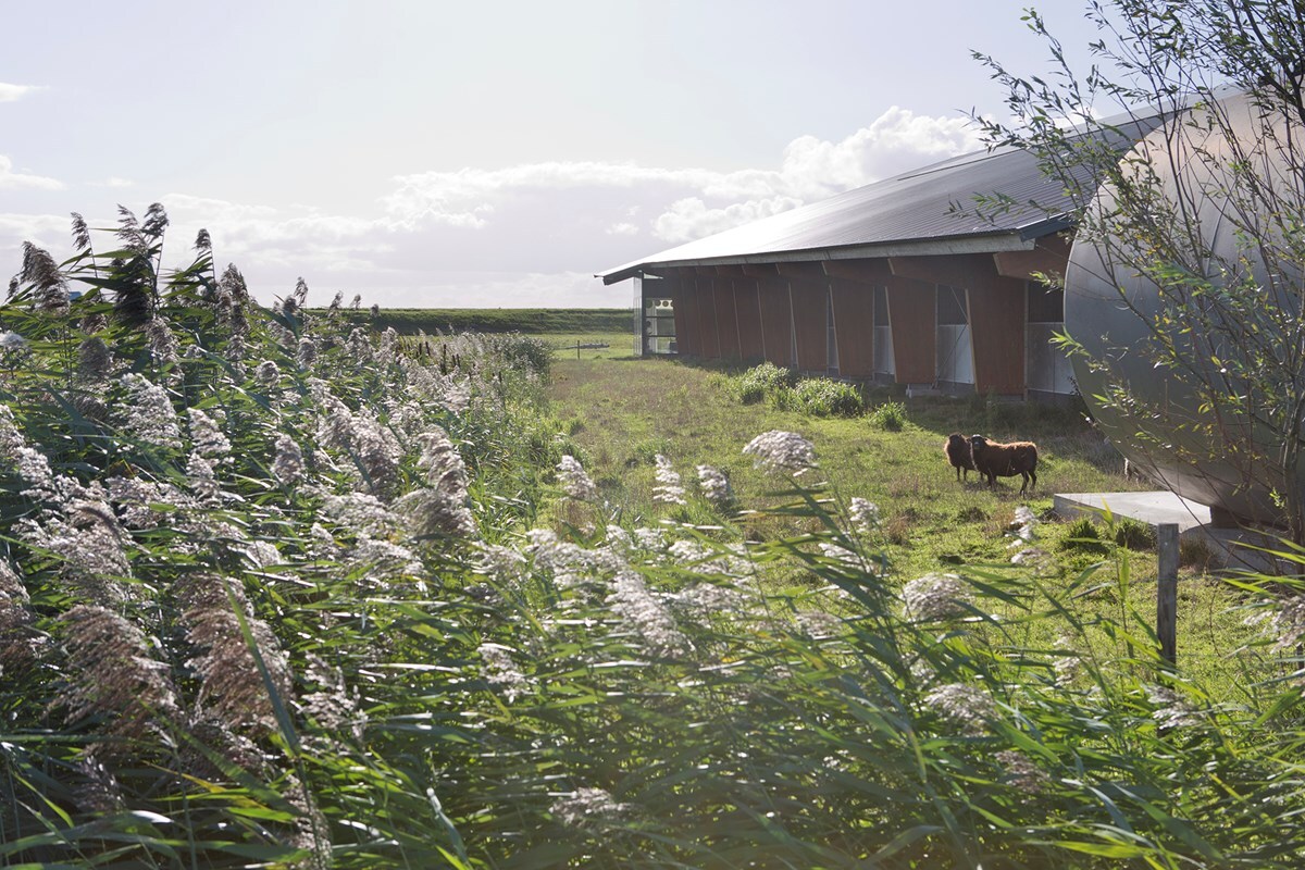 30-Weidevol-fotomarianneberkhoff