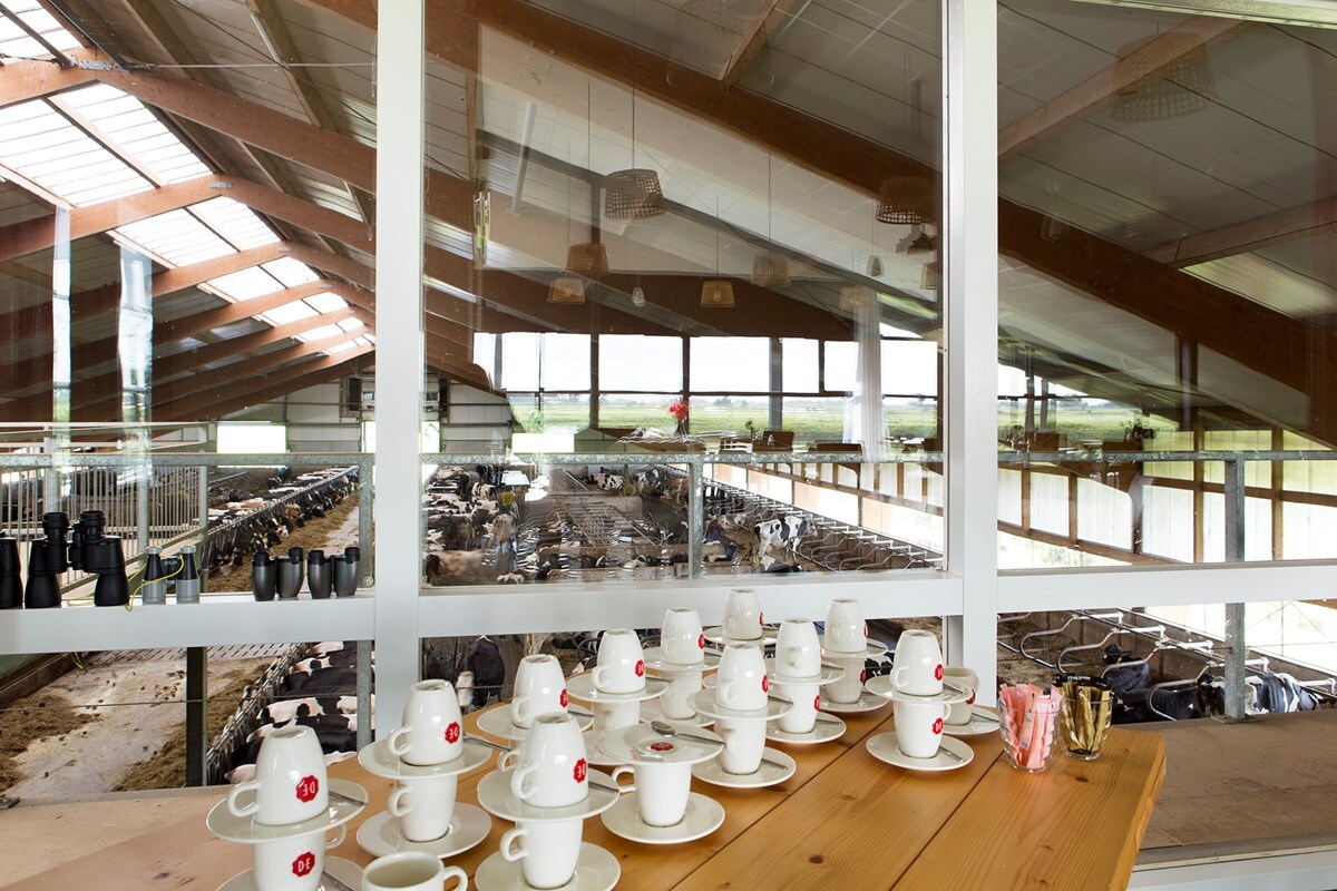 57-Weidevol-fotomarianneberkhoff